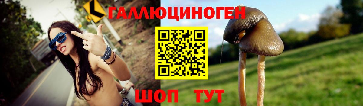 Бузулук  Псилоцибиновые грибы Cubensis  Вход с VPN 